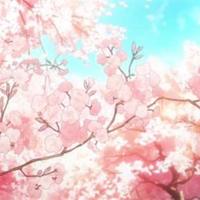 樱花动漫图片唯美高清壁纸