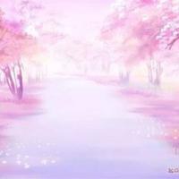 有樱花动漫图片