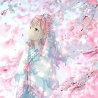 壁纸,动漫樱花ヾ()