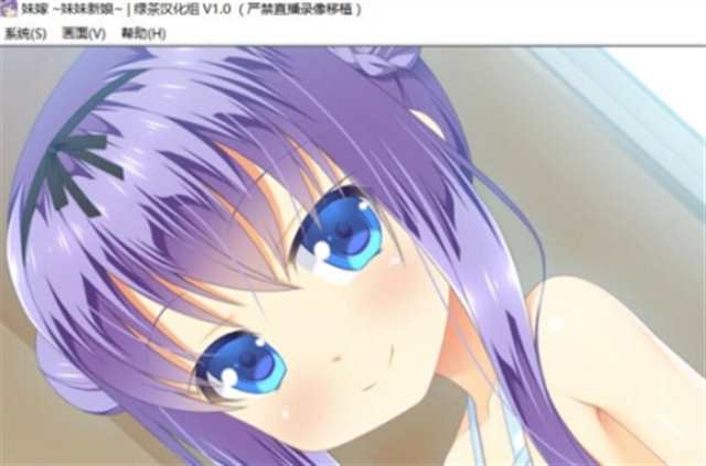 galgame游戏的ev ch fg