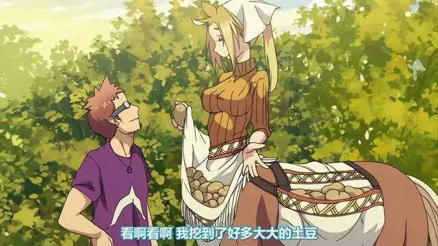 无论表番里番,为什么看的动画越多口味越重?