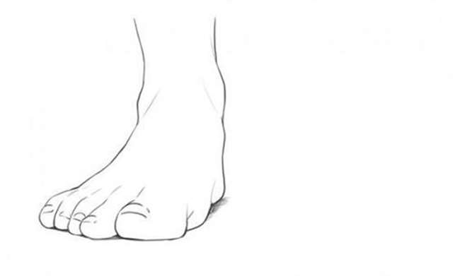 动漫插画人物脚部的画法详解 足部的结构展示与