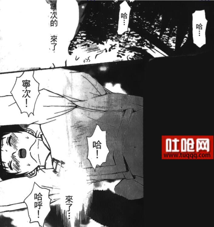 火影忍者天天被宁次上
