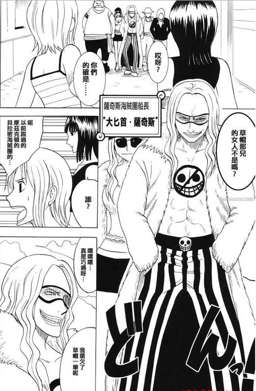 海贼王妮可罗宾被索隆上