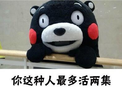 吉祥物熊本熊图片