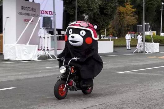 吉祥物熊本熊图片