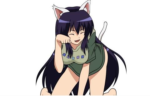 守护猫娘绯鞠图片