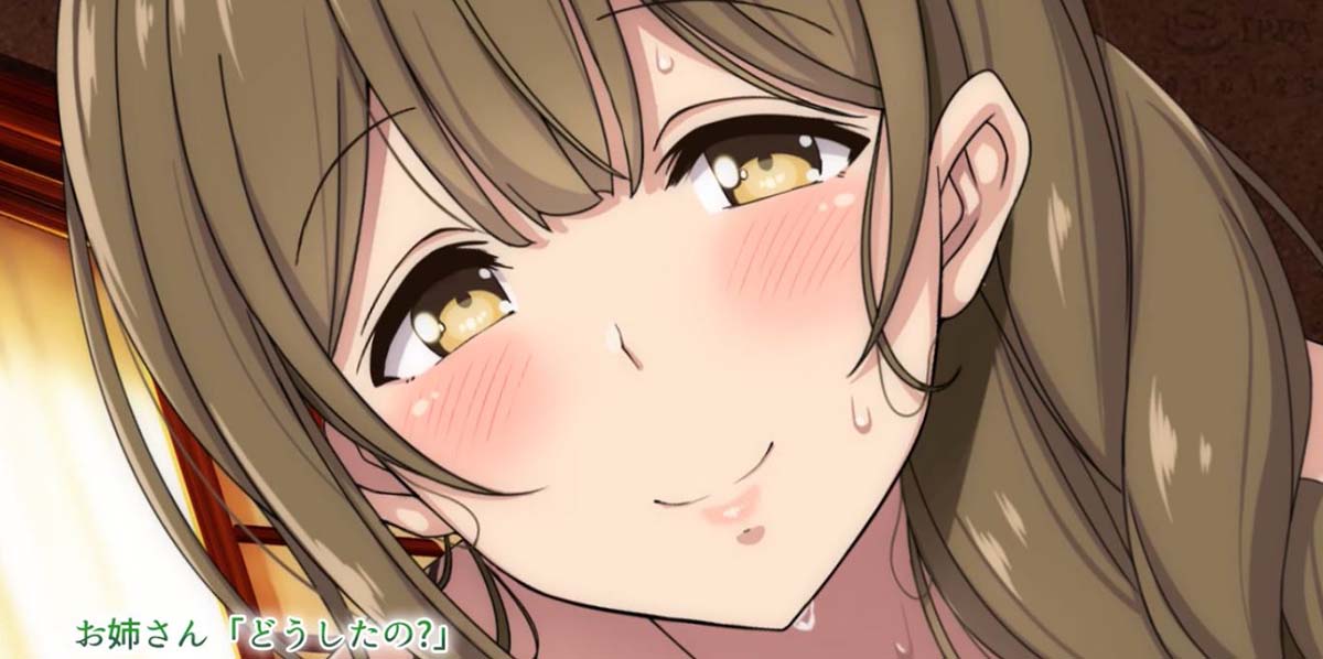 【survive more】 おねえさんとなつやすみ The Motion Anime