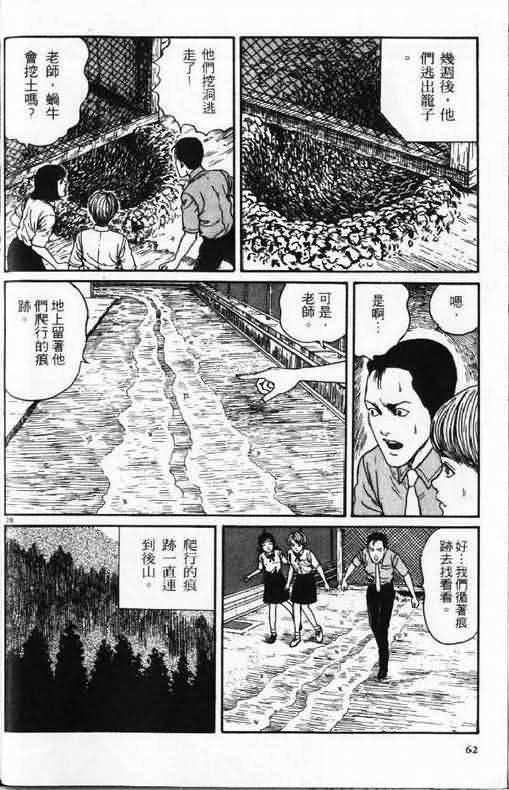 恐怖漫画蜗牛人漫画全集