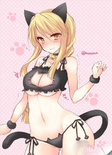 王者荣耀猫娘本子