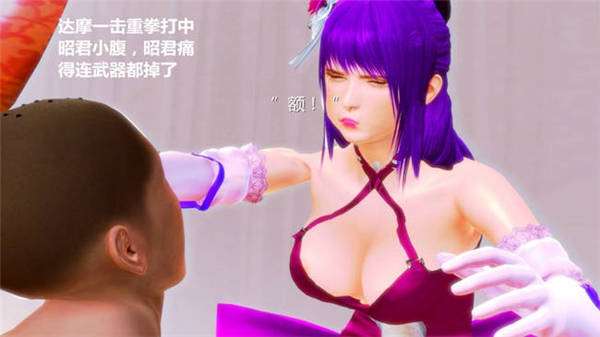 王者荣耀昭君无惨本子